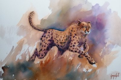 Course dynamique du guépard - Giorgio Gosti