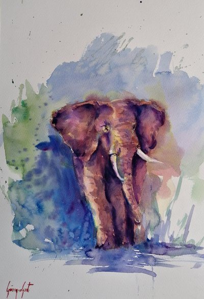 Majestueux éléphant à l
