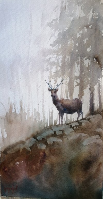 Cerf de la forêt brumeuse - Giorgio Gosti