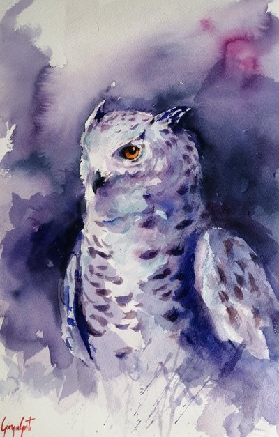 Chouette violette mystique - Giorgio Gosti
