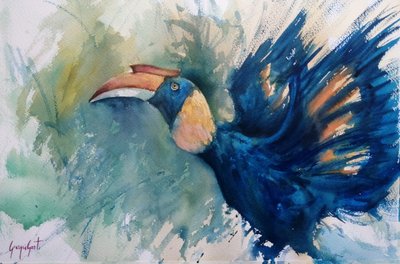 Calao bleu tropical - Giorgio Gosti