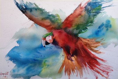 Un ara aux couleurs éclatantes en plein vol - Giorgio Gosti