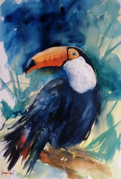 Un toucan tropical aux couleurs vives - Giorgio Gosti