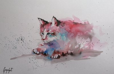 Chaton éclaboussé à l