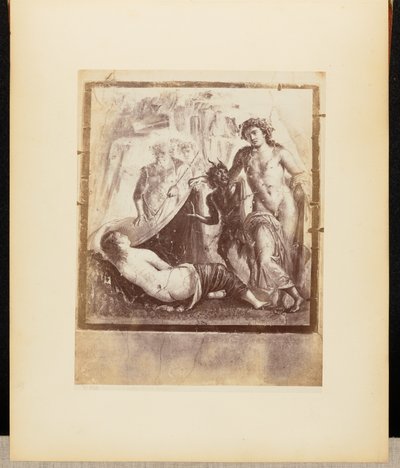 Bacchus frais et Ariane Pompéi - Giorgio Sommer
