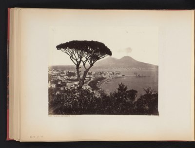 Vue de Naples, Italie, avec un pin au premier plan - Giorgio Sommer