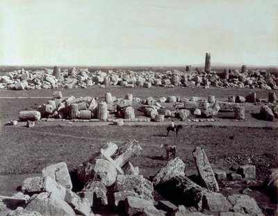 Panorama des vestiges du Temple de Minerve et du Temple d