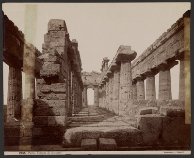 Temple de Neptune, Paestum - Giorgio Sommer