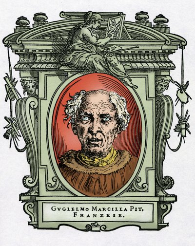 Portrait de Guillaume de Marcillat - Giorgio Vasari