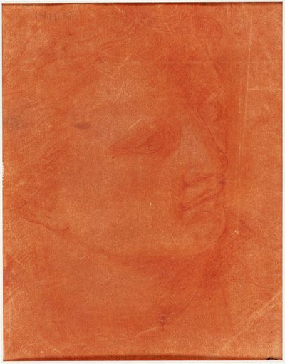Tête en profil trois-quarts (recto); Jeune homme debout pointant à gauche et croquis de pieds, bras (verso) - Giorgione