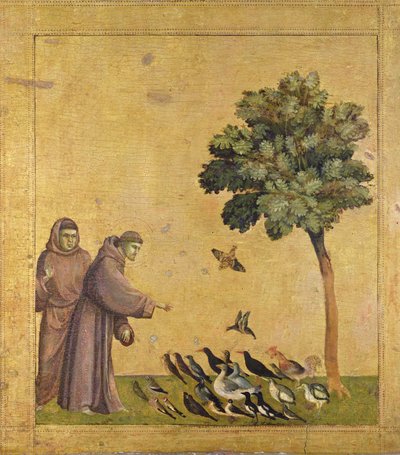 Saint François d