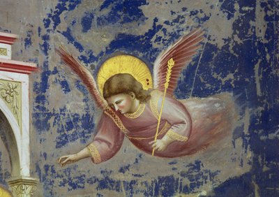 Ange, de la Présentation du Christ au Temple, c.1305 (détail) - Giotto (c.1266 1337)