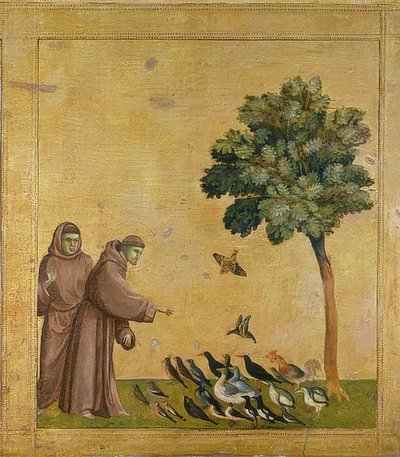 Saint François prêchant aux oiseaux - Giotto di Bondone