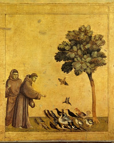Saint François d