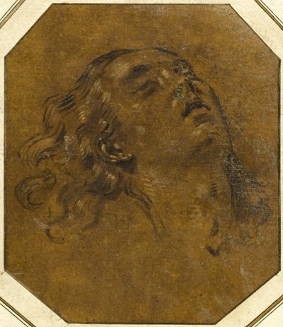 Tête de Femme - Giovan Gioseffo dal Sole