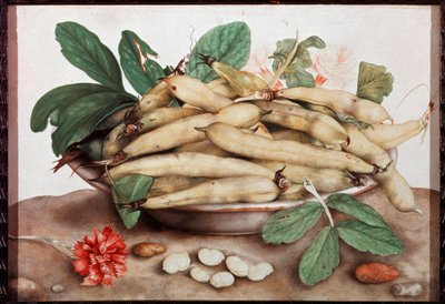 Nature morte avec assiette de haricots - Giovanna Garzoni
