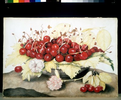 Image inconnue - Giovanna Garzoni