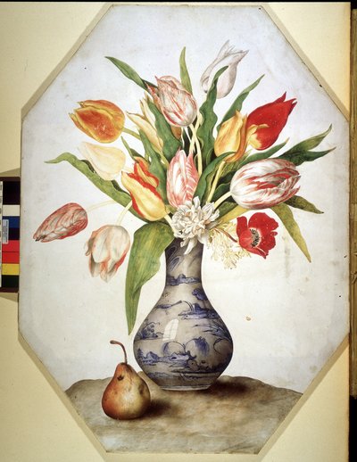 Image inconnue - Giovanna Garzoni