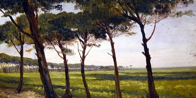 Une ligne de vieux pins - Giovanni Costa