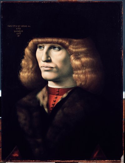 Portrait de jeune homme, vers 1495 - Giovanni Ambrogio de Predis