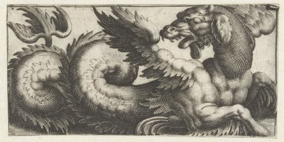 Phoque ailé regardant en arrière - Giovanni Andrea Maglioli