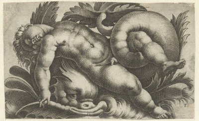 Putto endormi sur un dauphin (Putti sur créatures marines) - Giovanni Andrea Maglioli