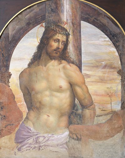 Christ à la colonne - Giovanni Antonio Bazzi Sodoma