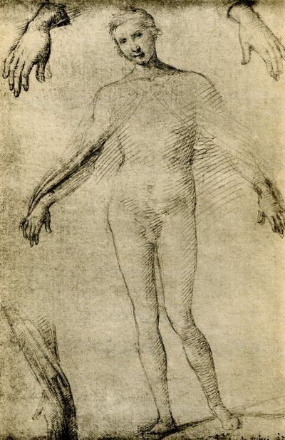 Étude de modèle pour une Vierge Marie en tant que mater misericordiae - Giovanni Antonio Bazzi Sodoma