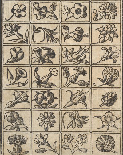 Essempio di recammi, page 10 verso - Giovanni Antonio Tagliente