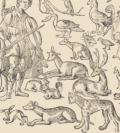 Essempio di recammi, page 12 verso, 1530 - Giovanni Antonio Tagliente
