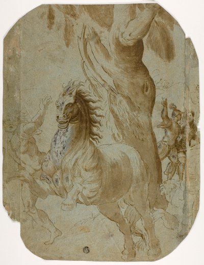 Conversion de Saint Paul (recto); Homme vu de dos (verso) - Giovanni Antonio da Pordenone