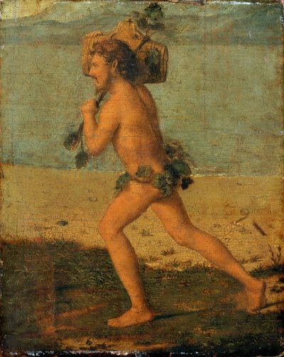Bacchant - Giovanni Battista Cima da Conegliano