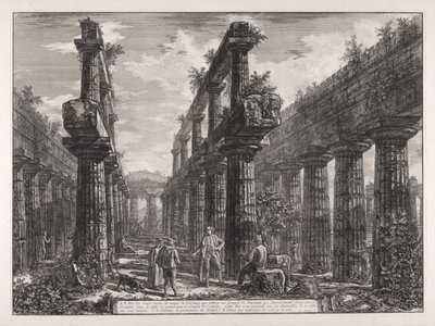 A., B. Vue des restes des deux rangs de colonnes qui étaient au temple de Neptune, qui formaient latéralement les portiques dans la cella et soutenaient le comble de l