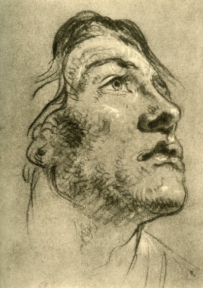 Tête d