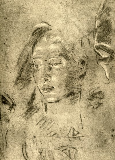 Tête d