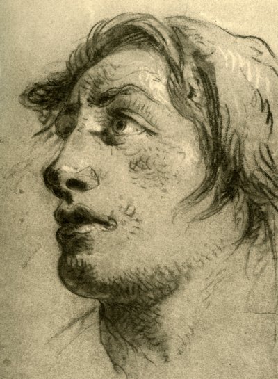 Tête d