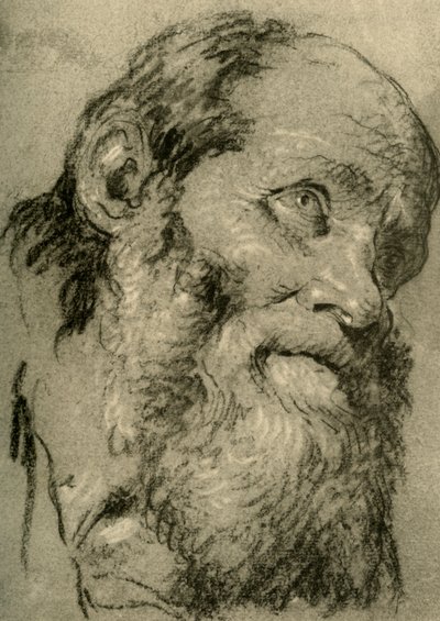Tête d