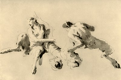 Faune mâle et femelle avec corne d