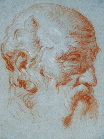 Étude du buste de Giulio Contarini vu de gauche - Giovanni Battista Tiepolo