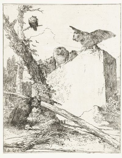 Page de titre pour Scherzi di fantasia avec des hiboux près d