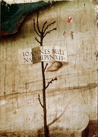 Petit arbre et cartouche (détail) - Giovanni Bellini