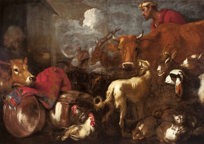 Les animaux embarquent dans l