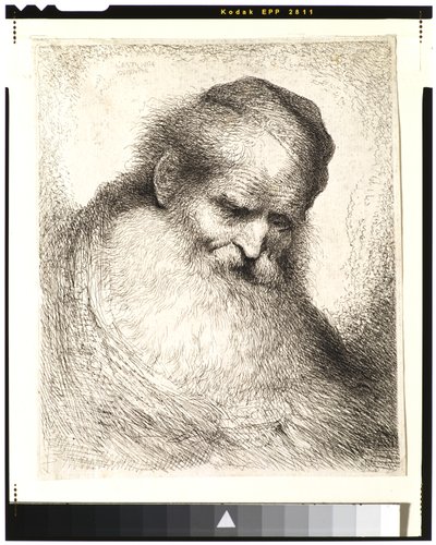Vieil homme barbu avec la tête penchée en avant, portant une calotte, face à droite - Giovanni Benedetto Castiglione