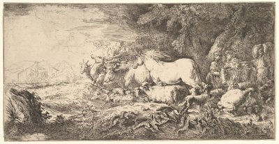 Entrée des animaux dans l