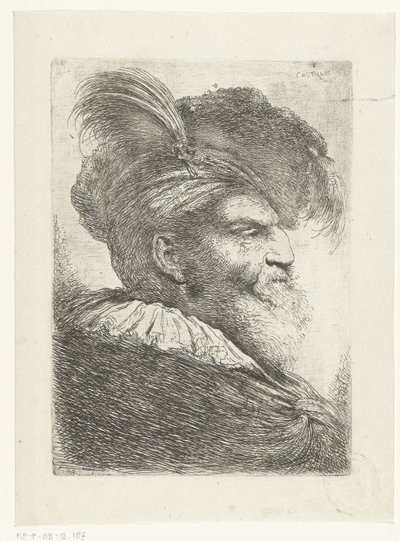 Tête d