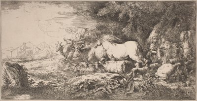 Les animaux allant vers l