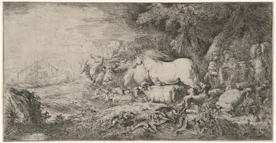 Les animaux allant vers l