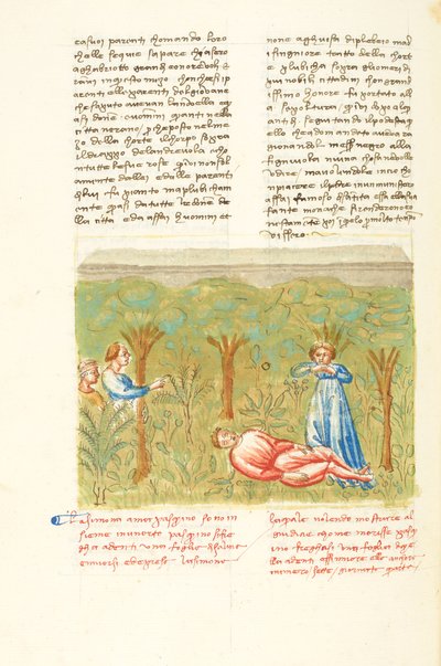Décaméron, Le plant de sauge - Mort de Pasquino , Quatrième journée, nouvelle 7. - Giovanni Boccaccio