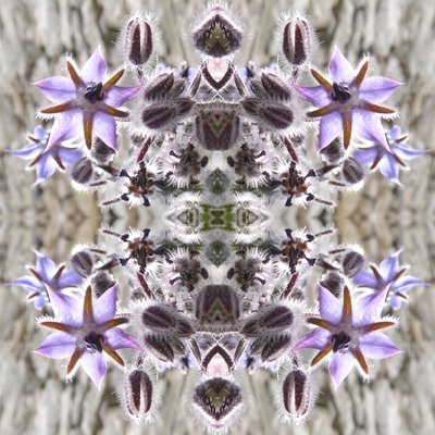 Unnatural 159 - Giovanni Cafagna