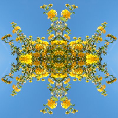 Unnatural 193 - Giovanni Cafagna